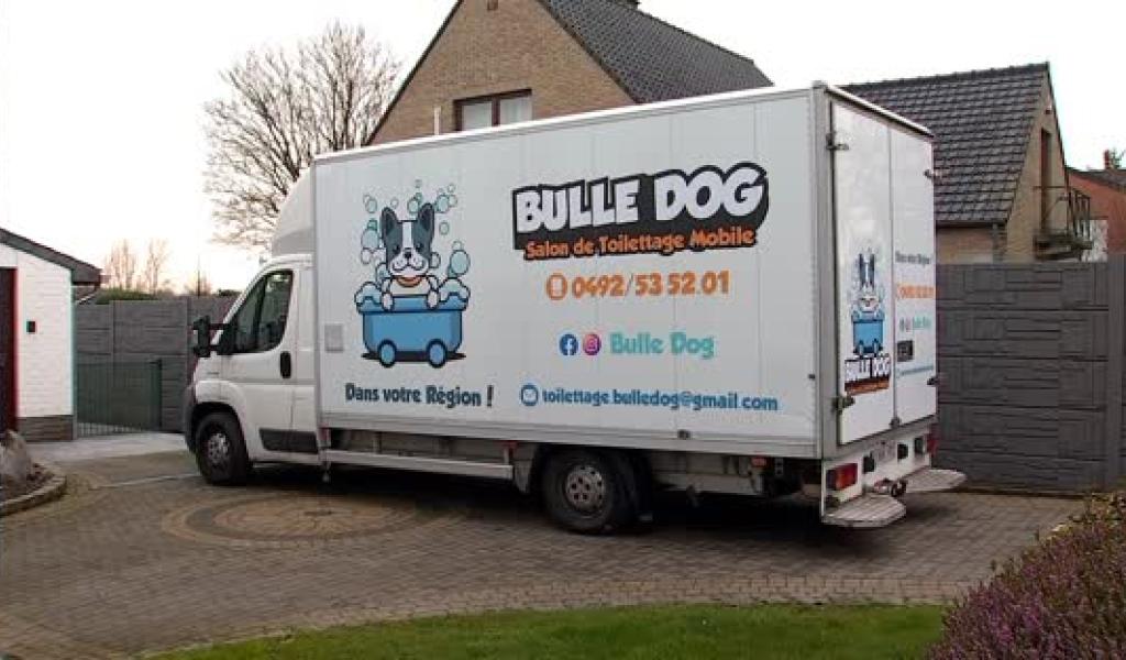 Toiletter son chien à domicile, c'est possible avec "Bulle Dog"
