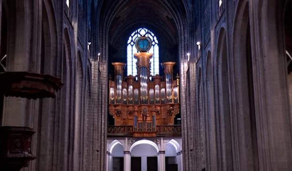 Les orgues de Sainte-Waudru, comme vous ne les aviez jamais vues! 