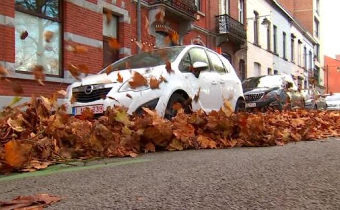 La Ville de Mons en période de ramassage des feuilles mortes!