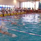 Natation : plus de 400 nageurs au rendez-vous de la 13e édition de l'Arena Sprint !