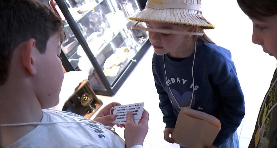 Curiosa : plongez dans un cabinet de curiosités immersif à Boussu