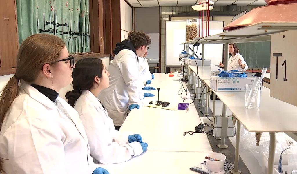 Printemps des Sciences : des élèves de secondaire découvrent des filières méconnues à la HEH