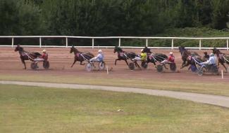 L'hippodrome organise son 1er championnat du monde de drivers