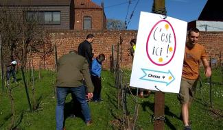 Une chasse "œufnologique" à Sirault