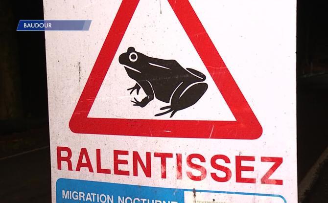 Baudour : une action de sensibilisation à la présence des batraciens et des volontaires sur les routes.
