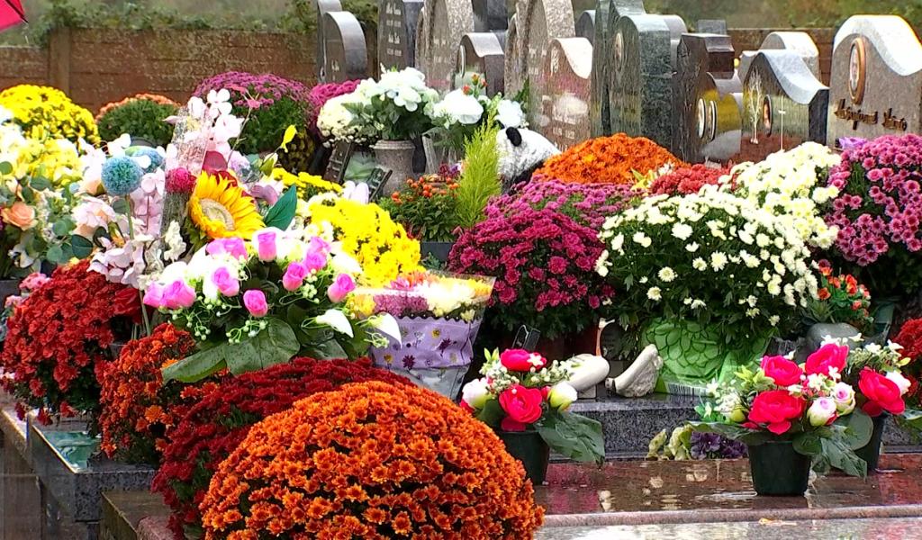 Fleurs et souvenirs : les cimetières s’illuminent pendant la Toussaint