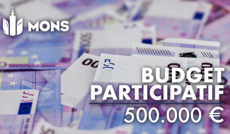 Un budget participatif pour les 19 entités montoises