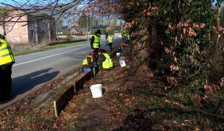Migration : des barrages pour préserver les batraciens