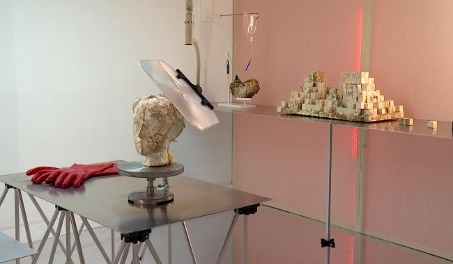 Restaurer les choses : une exposition qui laisse agir le mycélium