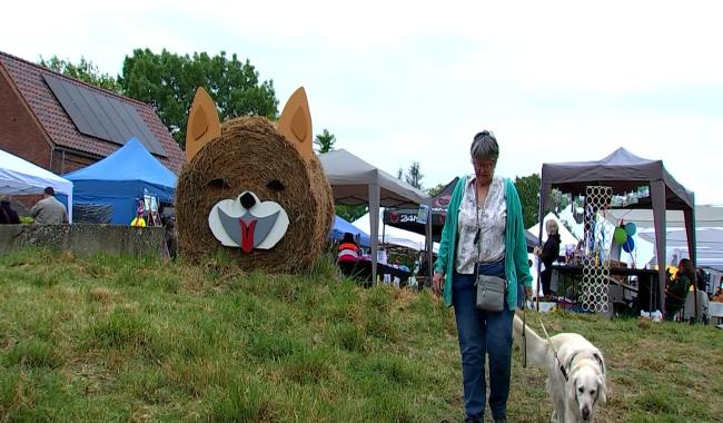 Meaurain : Animations et soins pour la journée du chien