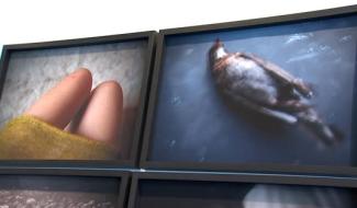 Colfontaine - Quand un poète rencontre une photographe