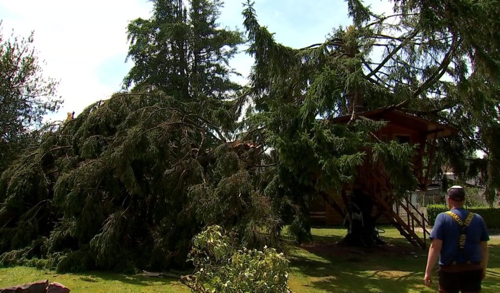 Honnelles : la commune se reconstruit après les orages de ce week-end
