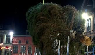 Le sapin de Noël installé sur la Grand-Place