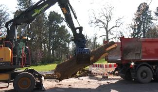 Waux-Hall: après le pavillon, place aux travaux du parc
