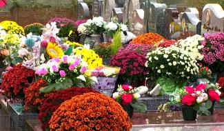 Fleurs et souvenirs : les cimetières s’illuminent pendant la Toussaint
