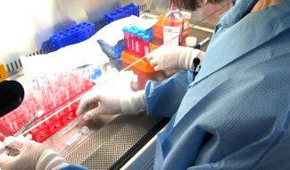 Mat(t)isse : un projet pour la reconstruction mammaire