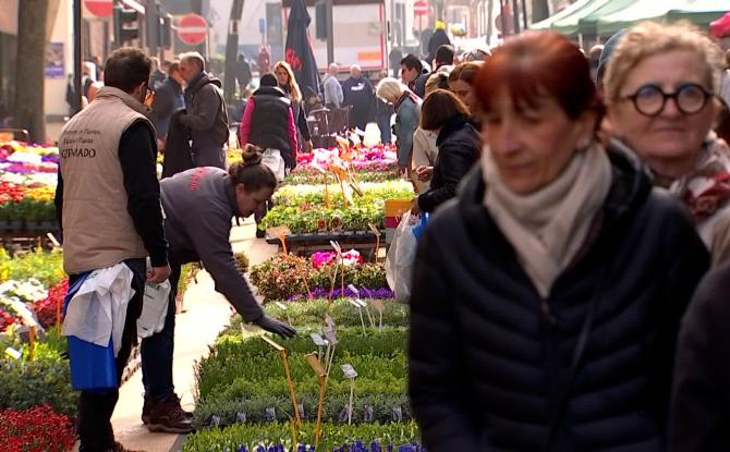 403e Ducasse de Messines : un marché aux fleurs entre tradition locale et réalité mondiale