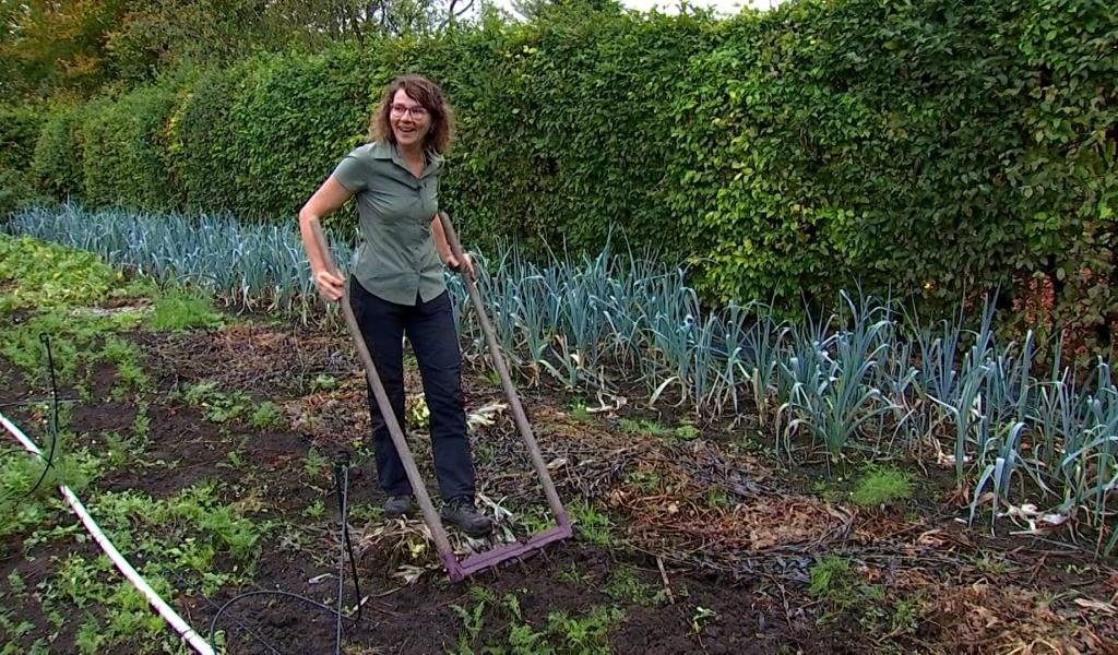 Les Jardins de Virginie à Hyon : de l’édition au potager