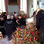 Beloeil - Nos écoles participent au concours Amaryllis