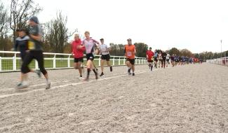 Un millier de coureurs au Trail du Dragon