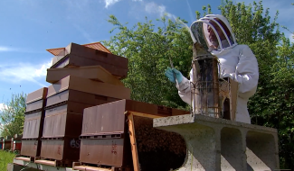 Les abeilles sont de retour au Rucher des Lisières d’Havré