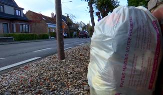 Collecte des déchets : Hygea ou Ipalle ?