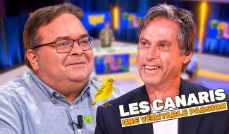 CHRONIQUE - Olivier s’intéresse à une drôle de passion… les canaris !
