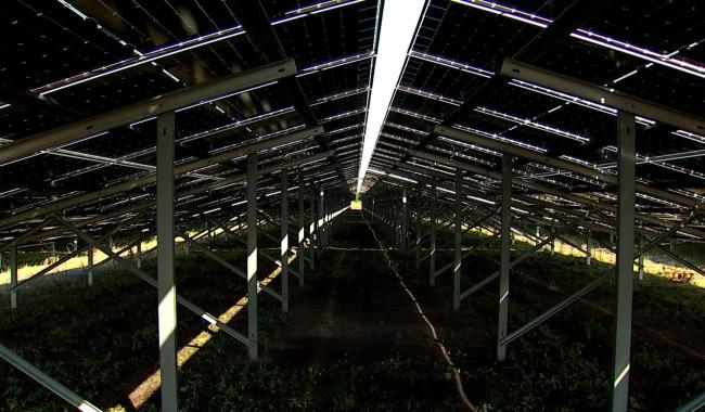 Ecoparc de Dour : 10.600 panneaux photovoltaïques qui alimenteront jusqu'à 1.500 ménages