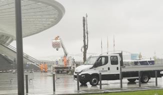 Mons : le sapin place Léopold a été démonté