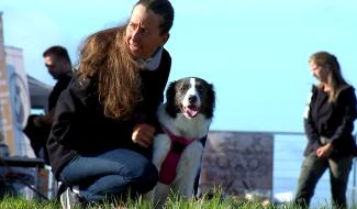 Montignies-Lez-Lens : le refuge 'Amour de Galgos' mobilise contre la maltraitance animale