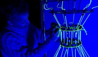 "Dans la lumière", l'oeuvre montoise du festival Mons en Lumière