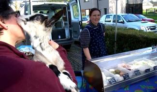 Quévy : la Chèvrerie des Cerisiers obtient une médaille d’or pour son fromage frais