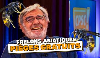 Hubert – Les frelons asiatiques