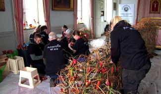Beloeil - Nos écoles participent au concours Amaryllis