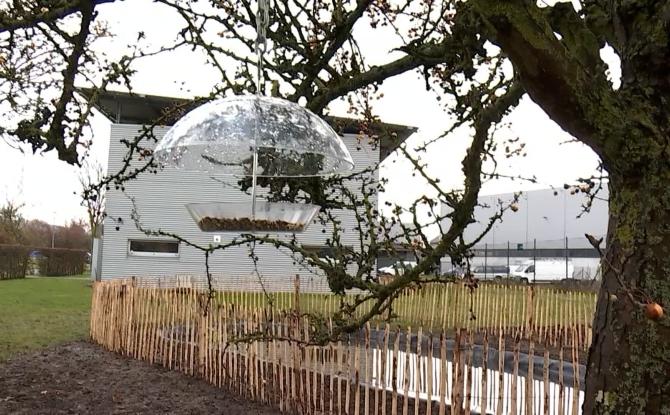 Mons - De la biodiversité dans les zonings