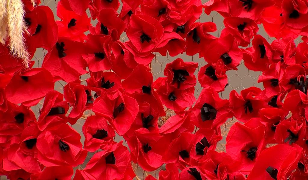 Devoir de mémoire intergénérationnel à l'école du Plat-Rie