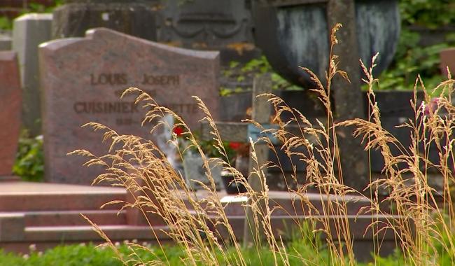 Honnelles mise sur la biodiversité