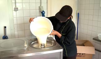 Cense du Mayeur : une ferme qui produit des glaces depuis 25 ans