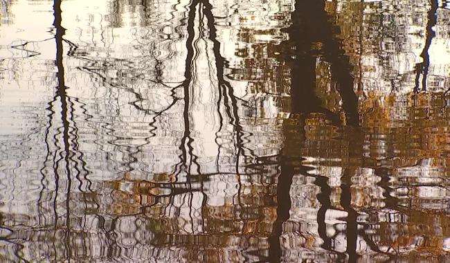 Drame à Mons : un homme perd la vie près d’un étang