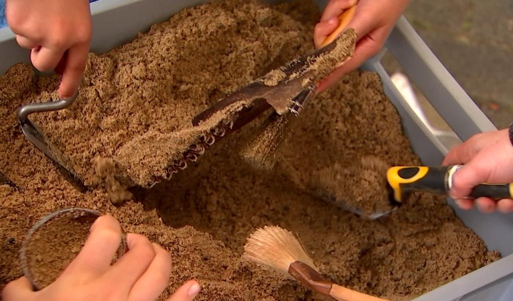 Mons - Découvrez le métier d'archéologue!