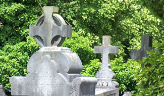 Cuesmes - L'Estival des Cimetières montois à la découverte de l'histoire locale