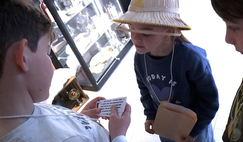 Curiosa : plongez dans un cabinet de curiosités immersif à Boussu