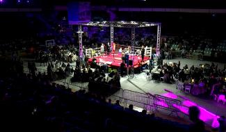 Quelle heure est-il? L'heure de boxer!