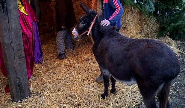 Les Honnelles: une crèche vivante pour le village d'Angre