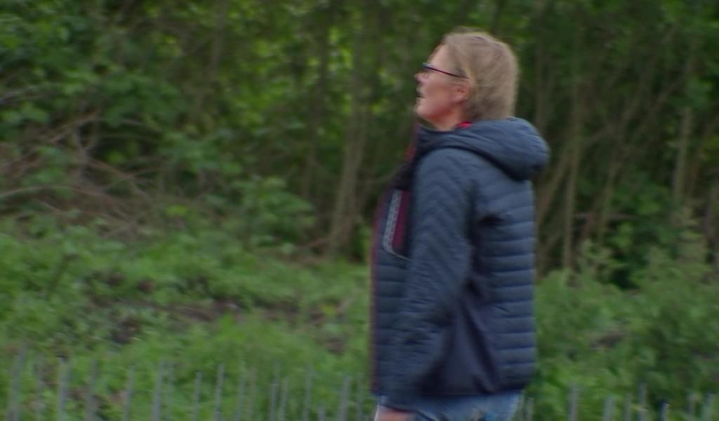 "Veuves Wuilquot" : un tout nouveau vignoble à Elouges !
