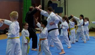 Arts martiaux : la 2e édition du "Stage du Cœur" réunit 80 participants !