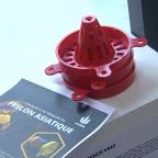 Mons : la Ville distribue des pièges contre les frelons asiatiques