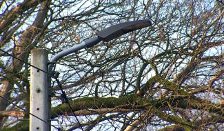 Saint-Ghislain : réduire l'éclairage urbain pour préserver la biodiversité