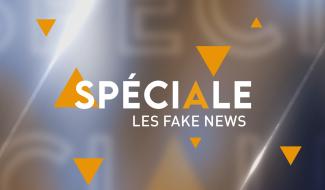 Spéciale - Education aux médias - Fake news !