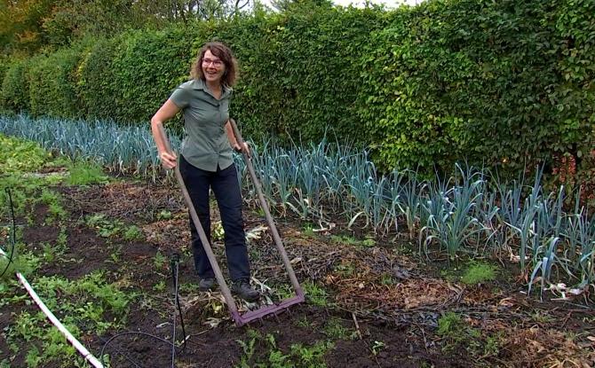 Les Jardins de Virginie à Hyon : de l’édition au potager